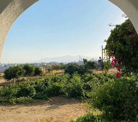 Vino Appartement Agia Anna (Naxos)