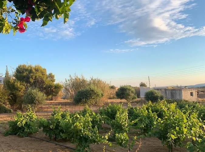 Appartement Vino Agia Anna (Naxos)
