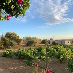 Lejlighed Vino Agia Anna (Naxos)