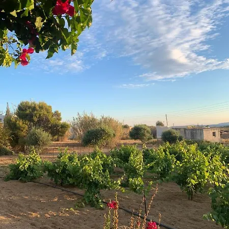 דירה Vino Agia Anna (Naxos)