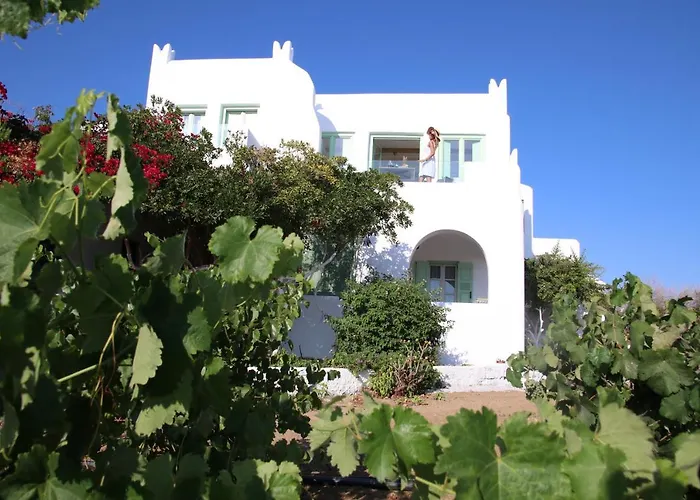 Apartment Vino Agia Anna (Naxos)